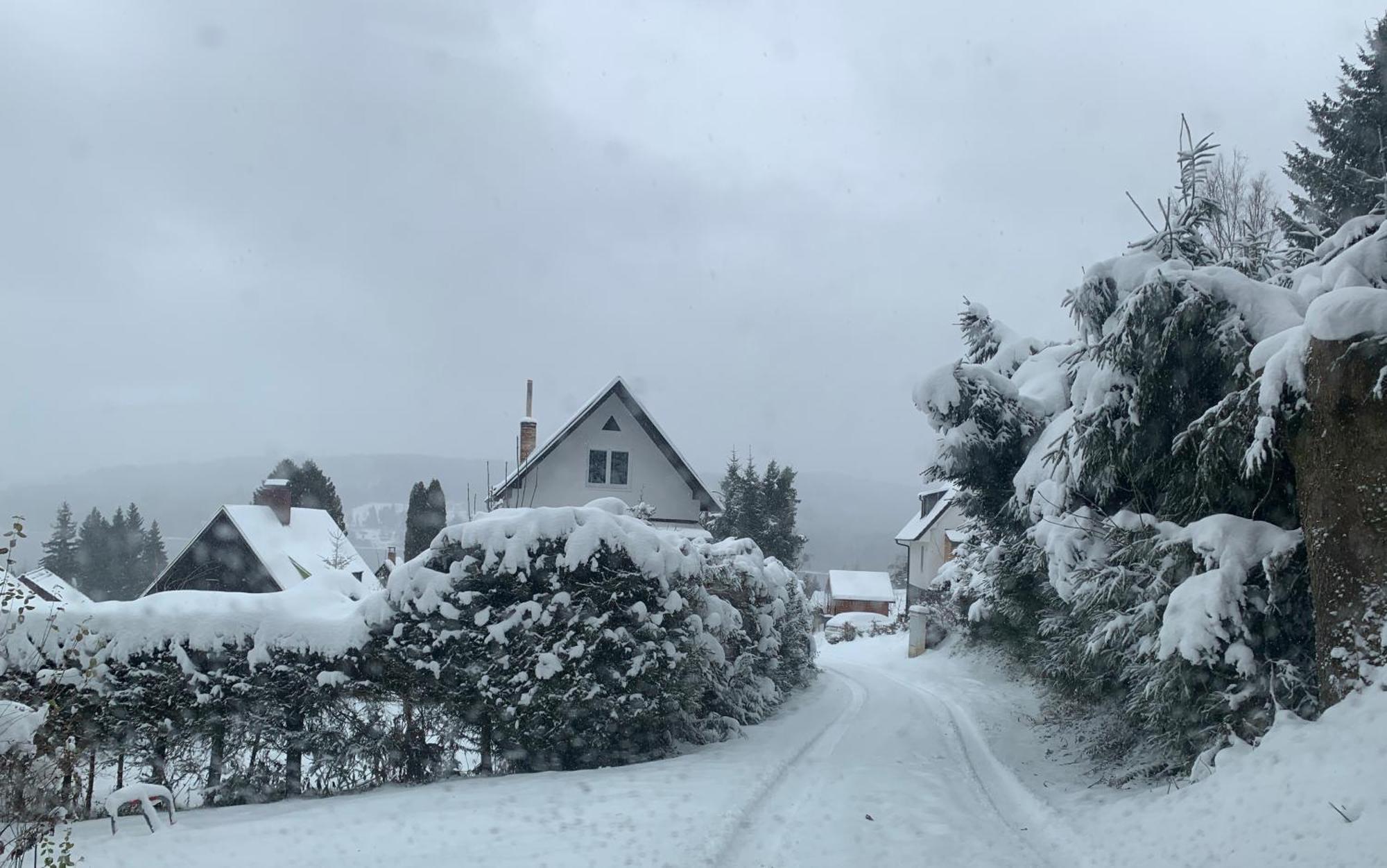 Nase Chata Lipno Lipno nad Vltavou Dış mekan fotoğraf